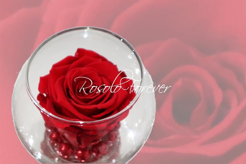 Rose éternelle, bordeaux, dans un vase boule
