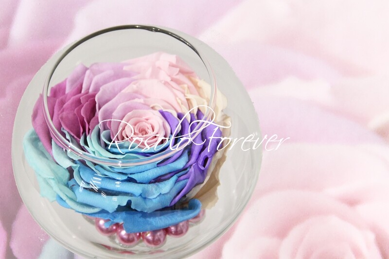 Grande rose, spéciale, dans un vase boule