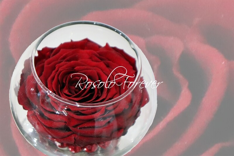 Grande rose, bordeaux, dans un vase boule