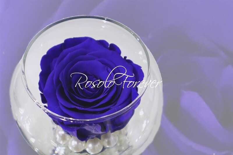 Rose éternelle, bleue, dans un vase boule