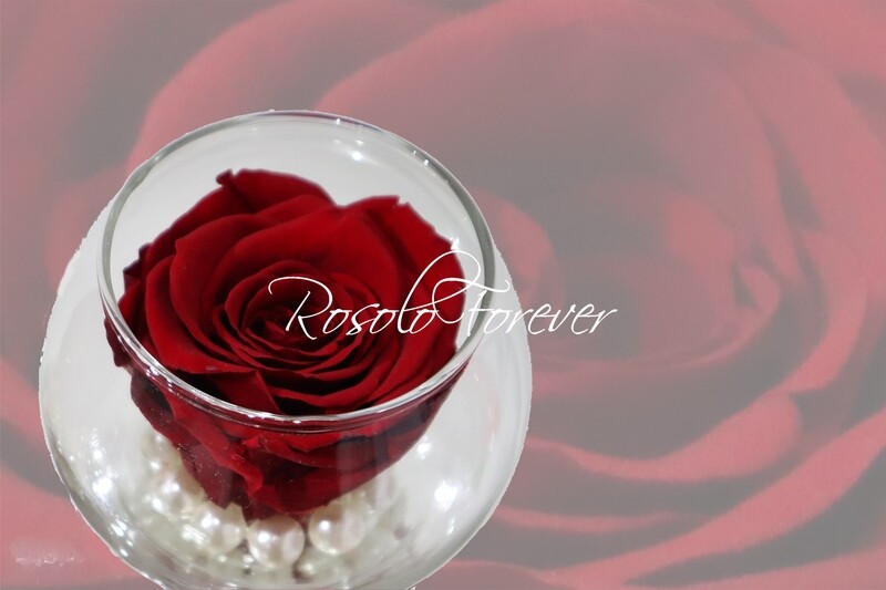 Rose éternelle, chocolat, dans un vase boule