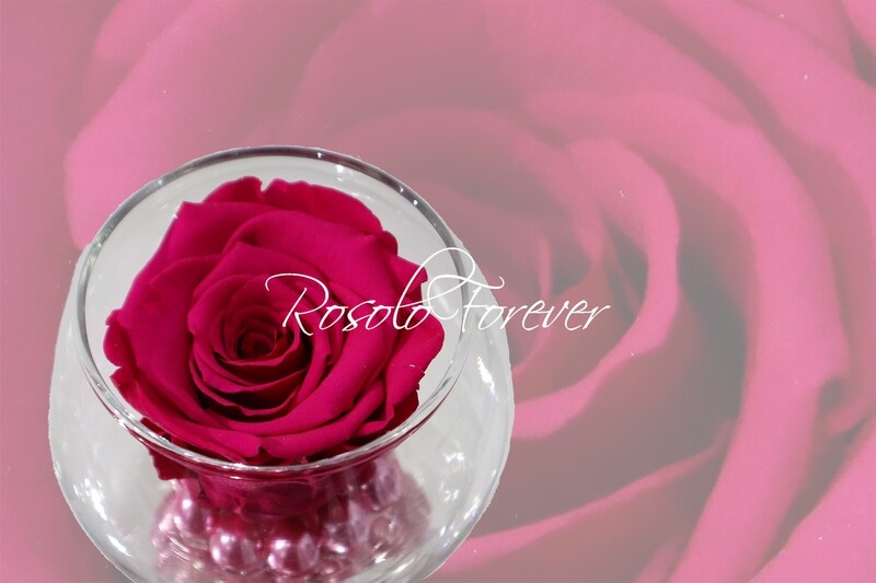 Rose éternelle, lila, dans un vase boule