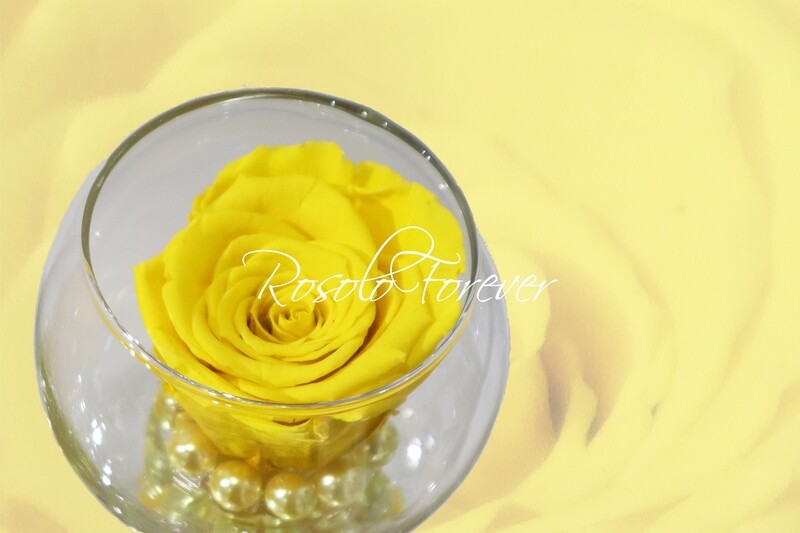 Rose éternelle, jaune, dans un vase boule