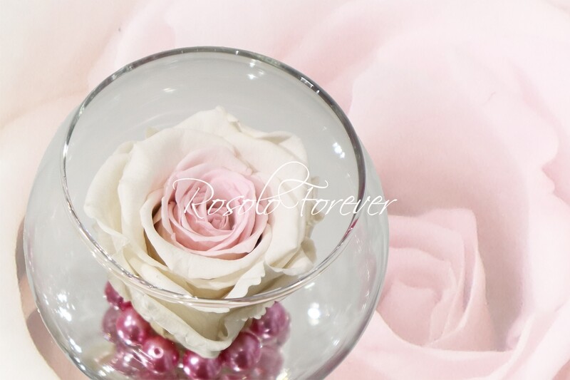 Rose éternelle, rose, dans un vase boule