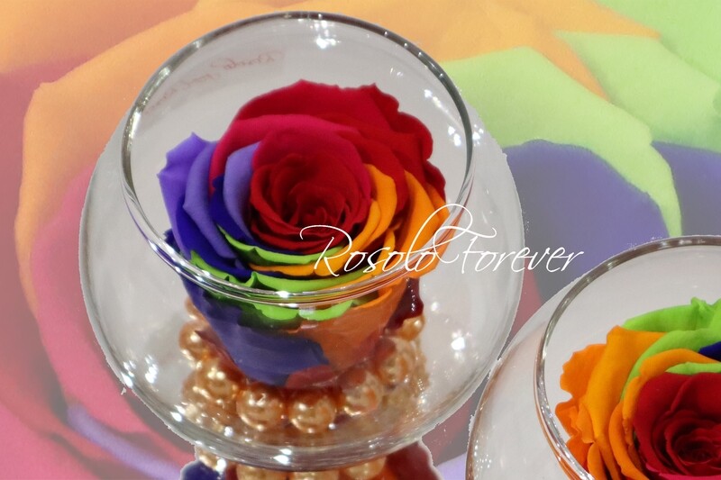 Rose éternelle, rainbow, dans un vase boule