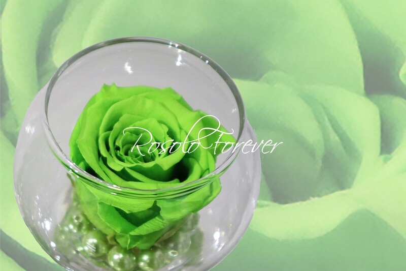 Rose éternelle, verte, dans un vase boule
