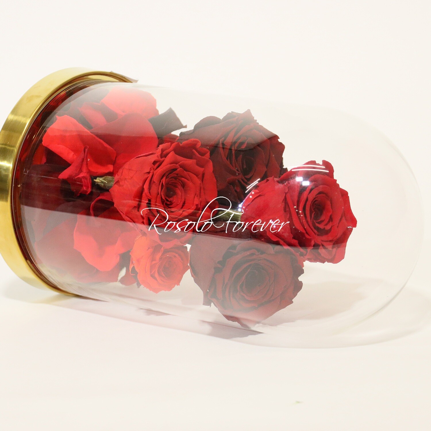 Cloche exclusive, 7 roses en rouge claire, rouge vif et bordeaux