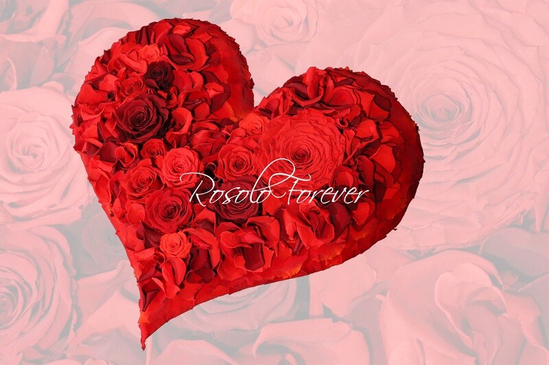 Super cœur de roses éternelles, 2 tailles