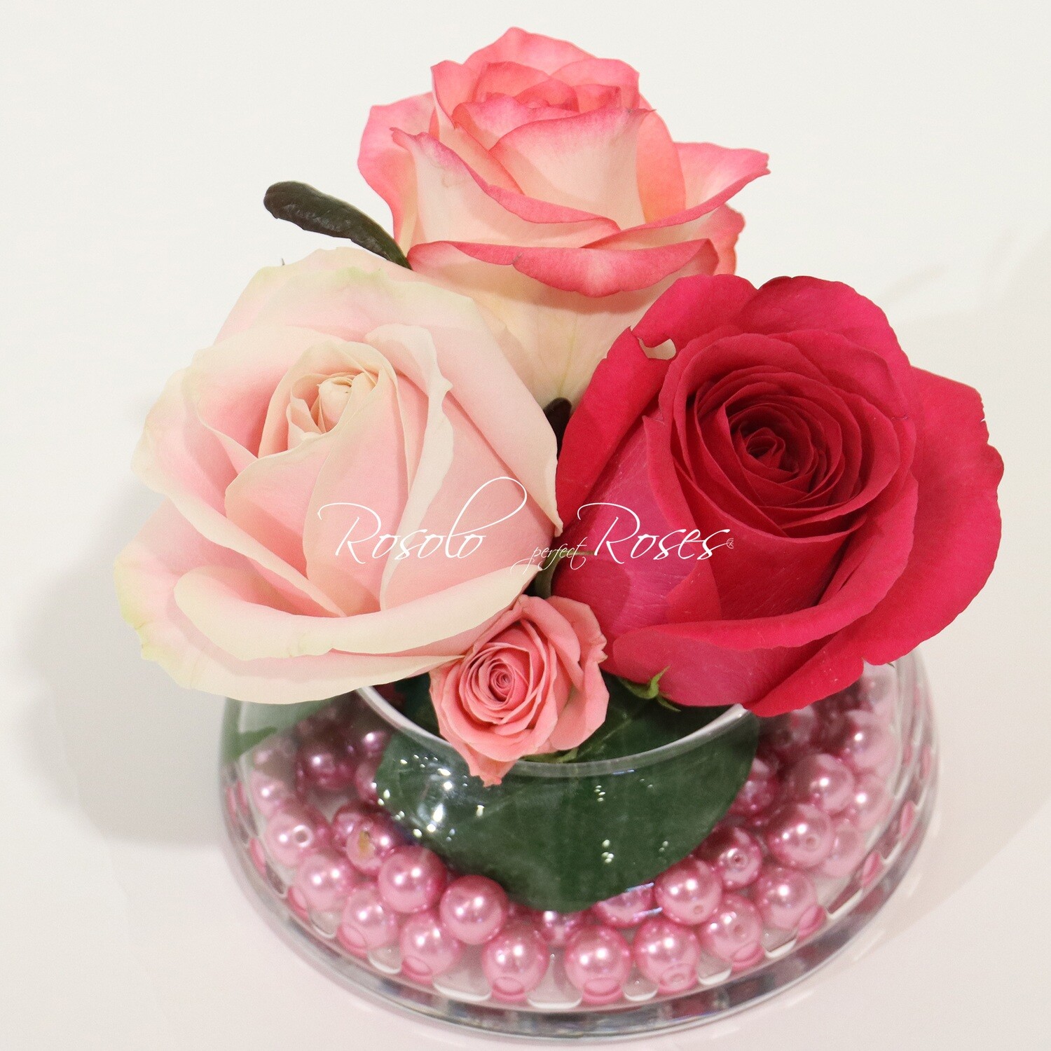 Composition mignonne