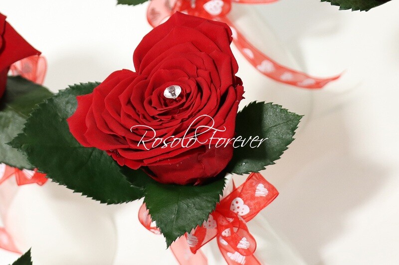 Superbe rose Corazon, rouge dans un vase en céramique