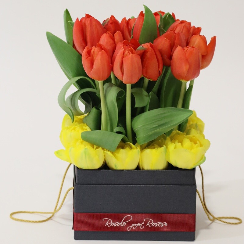 Jolie boite carrée, tulipes de couleurs vives