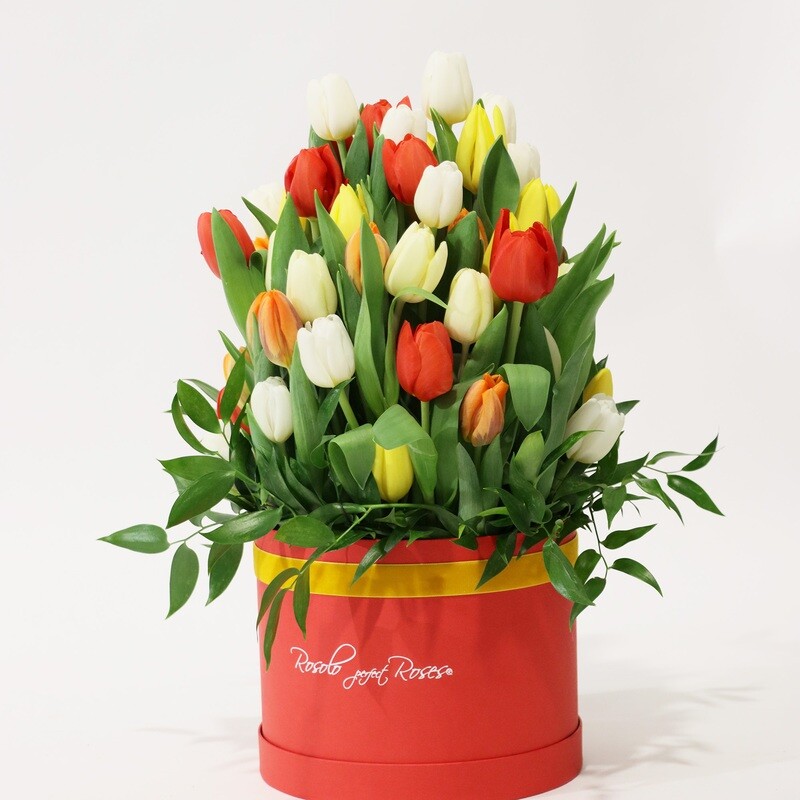 Grande boite de tulipes, couleurs vives
