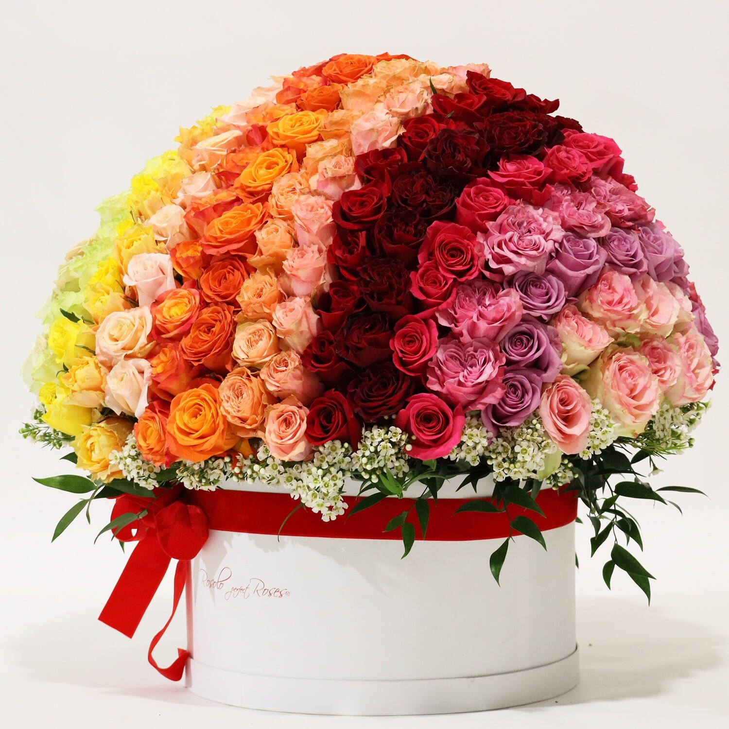 SOMPTUEUX: Arrangement exceptionnel, env. 230 roses de toutes couleurs