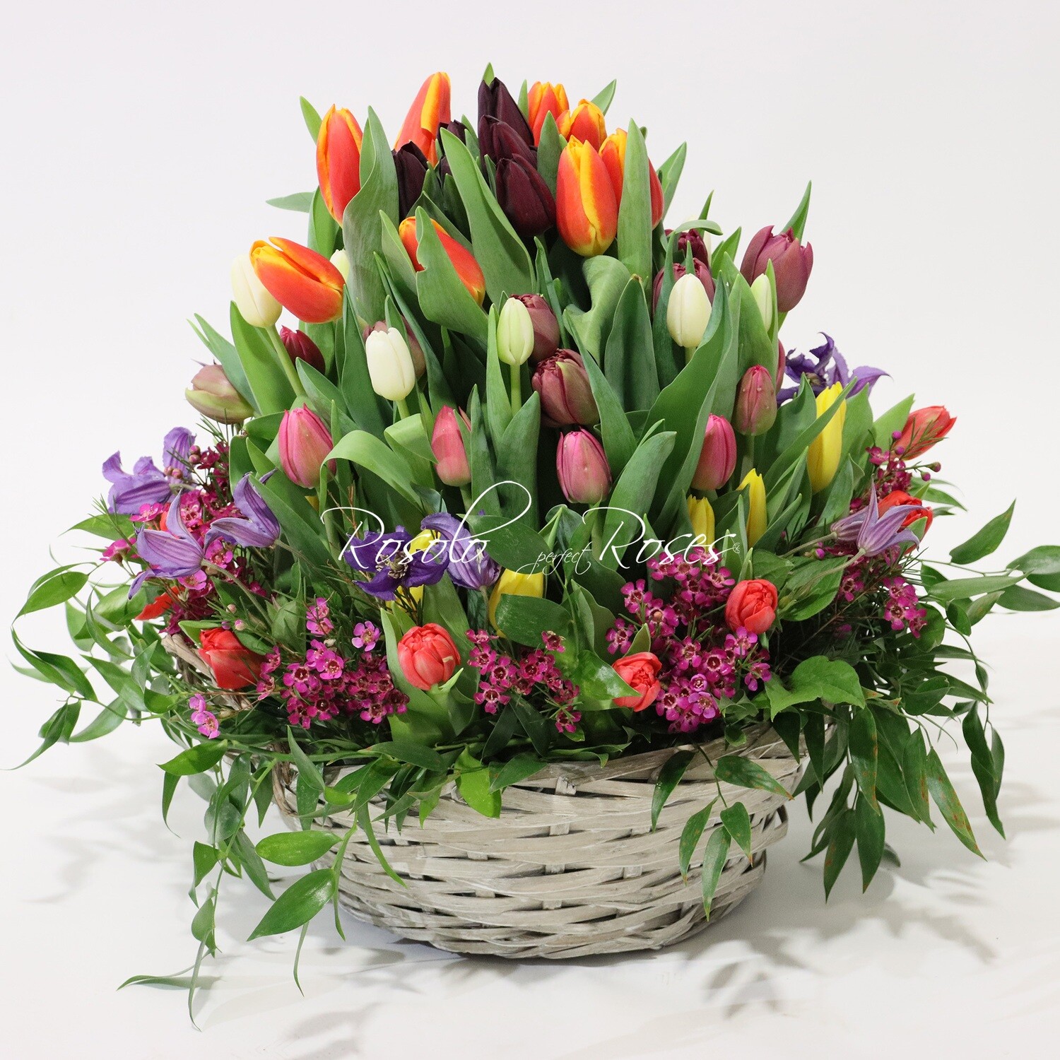 Belle corbeille de tulipes colorées