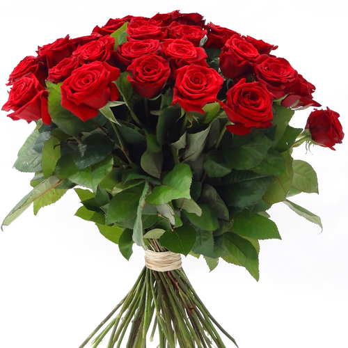 PROMOTION: 51 roses rouges