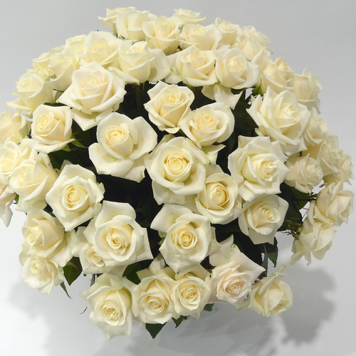 Bouquet de roses blanches ou crèmes