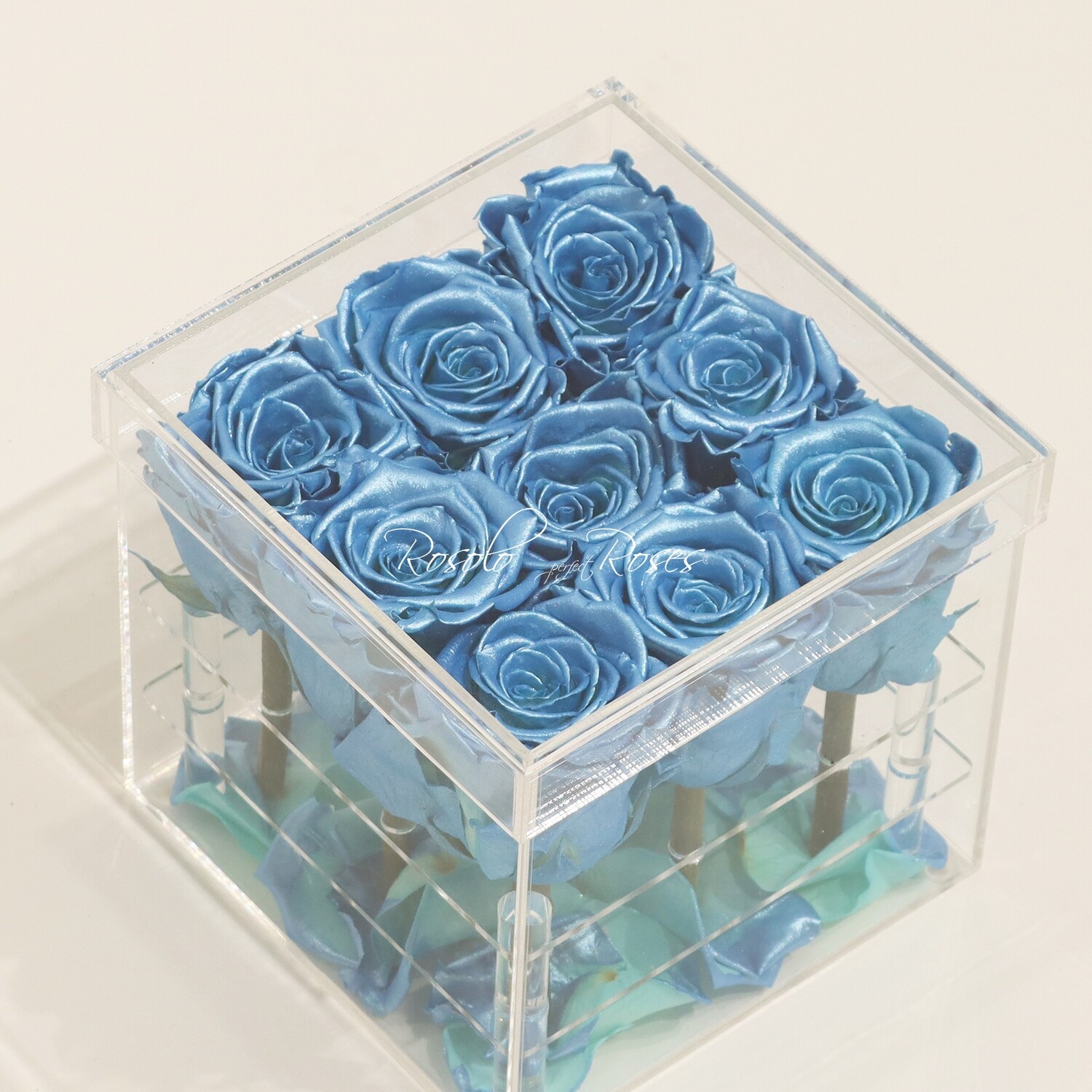Boîte transparente, roses éternelles en bleu