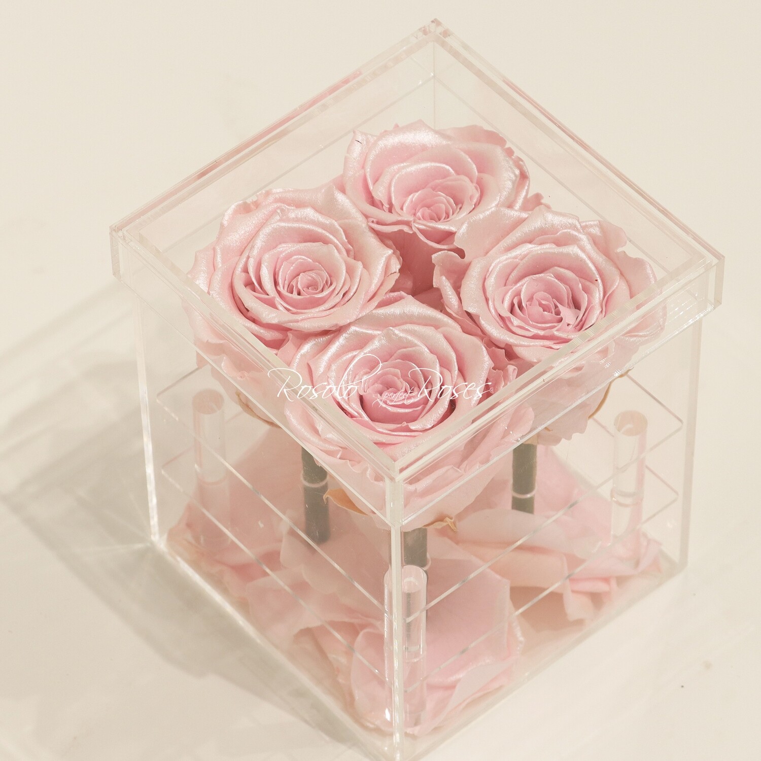 Boîte transparente, roses éternelles en rose