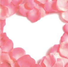 Nos cartes Fleurop (CHF 6.00)