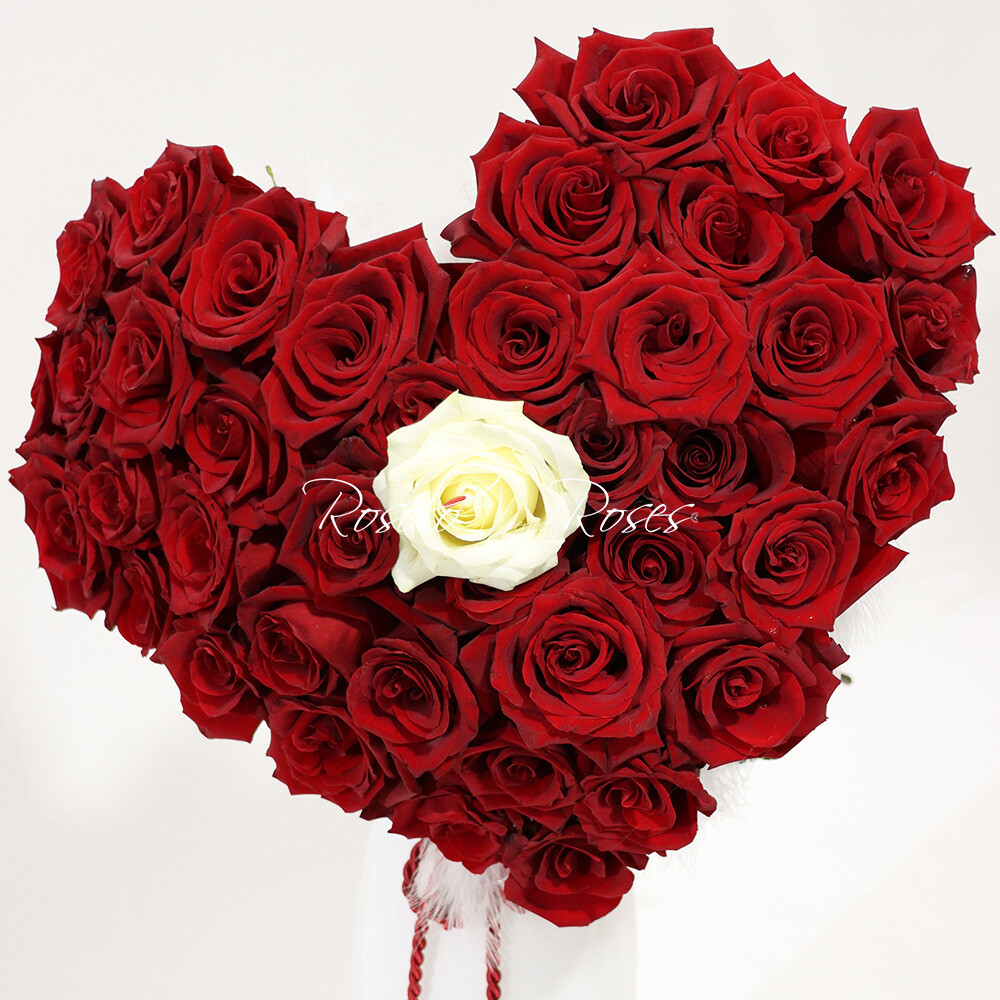 Roses et plumes en forme de coeur