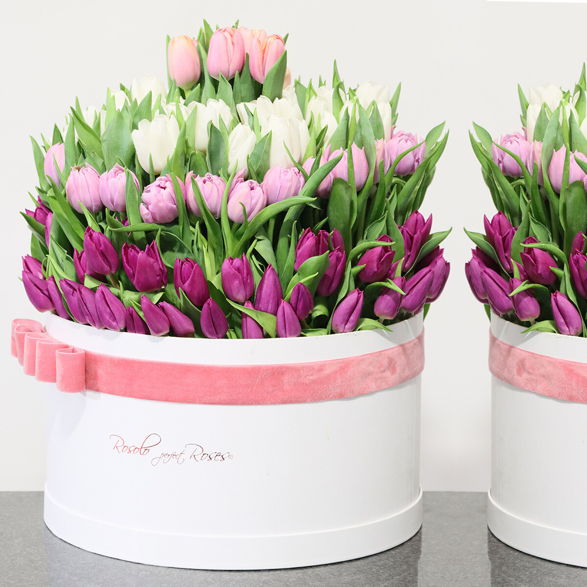 Grande boite de tulipes, couleur mauve et blanc