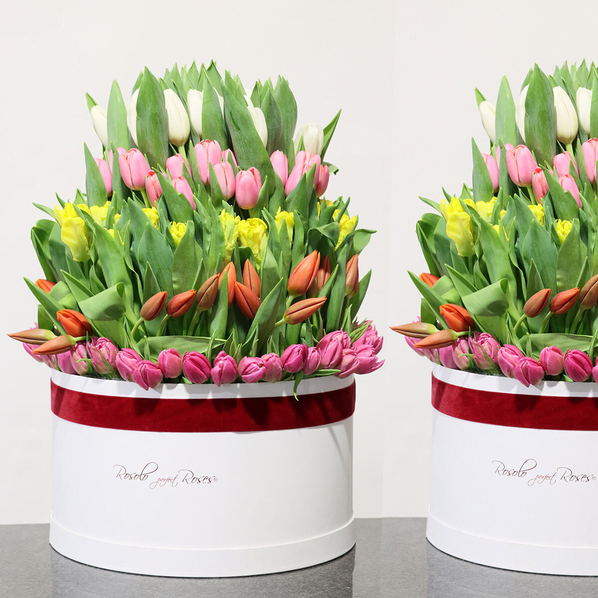 Somptueuse boite de tulipes colorées