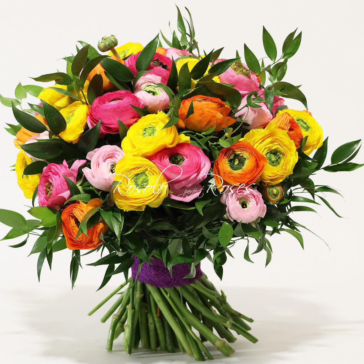 RENONCULES: Bouquet compact, belles renoncules colorées