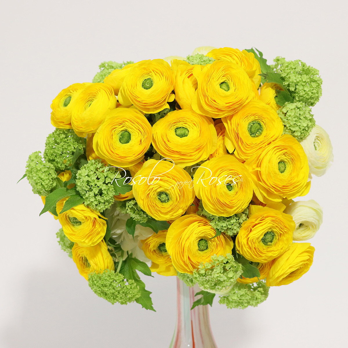 Renoncules jaune et blanches &amp; garniture