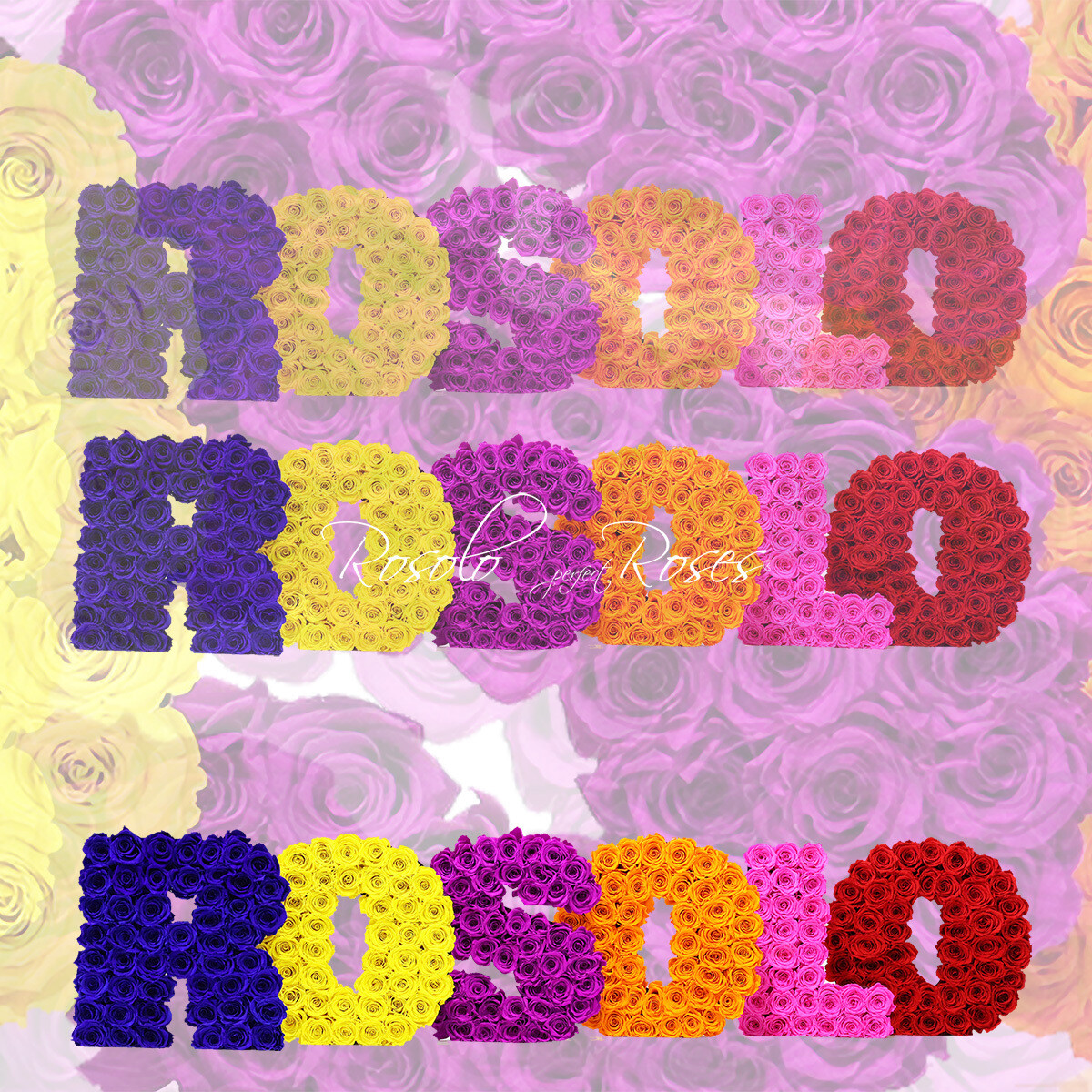 Votre mot en Roses: 2 tailles, couleur à choix