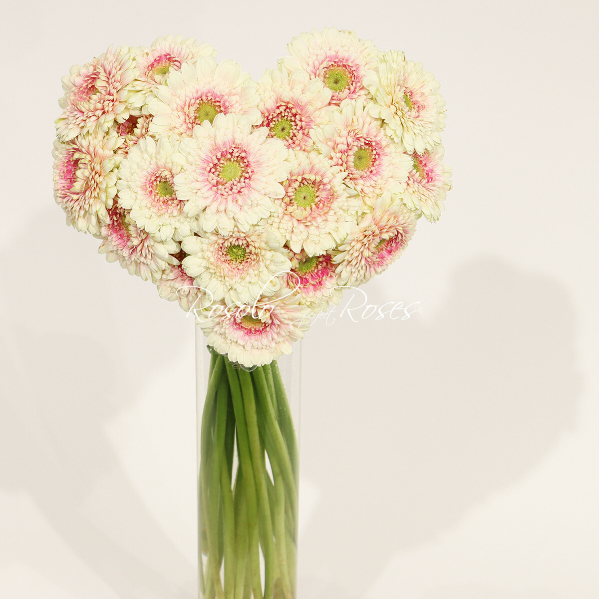 Bouquet coeur, germini saumon, 2 tailles, avec ou sans vase