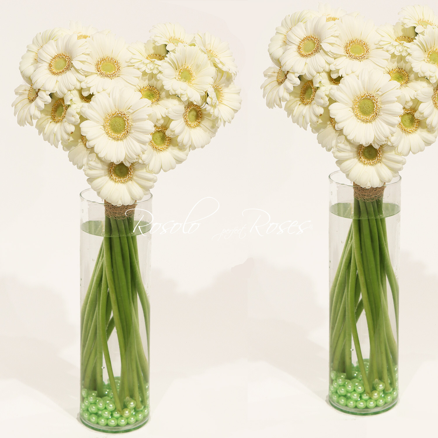 Bouquet coeur, germini blanc, 2 tailles, avec ou sans vase