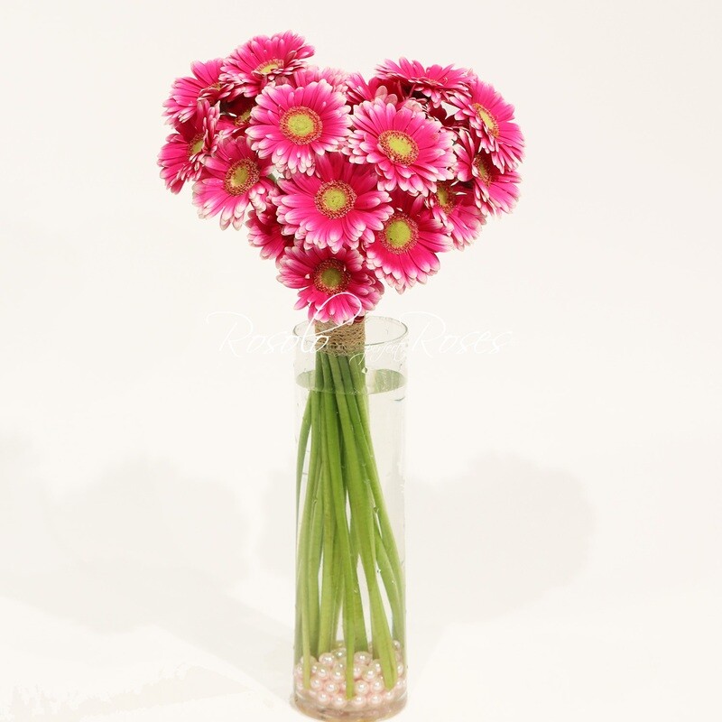 Bouquet coeur, germini fuchsia, 2 tailles, avec ou sans vase