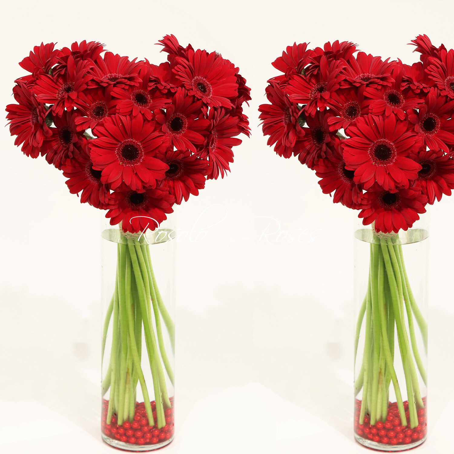 Bouquet coeur, germini rouge, 2 tailles, avec ou sans vase