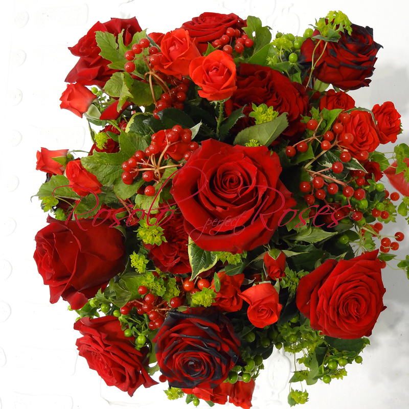 Belles baies et superbes roses, tout en rouge