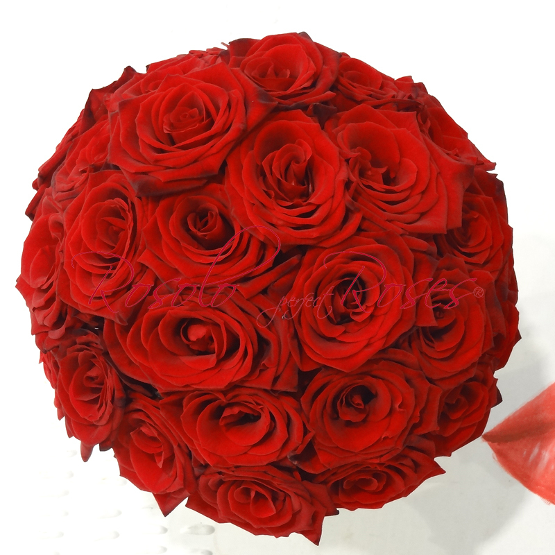 Belles roses rouges dans un beau bouquet compact