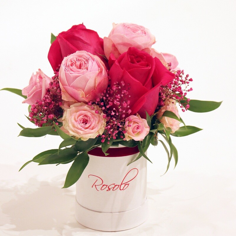 Belle boîte Rosolo, couleurs pastelles