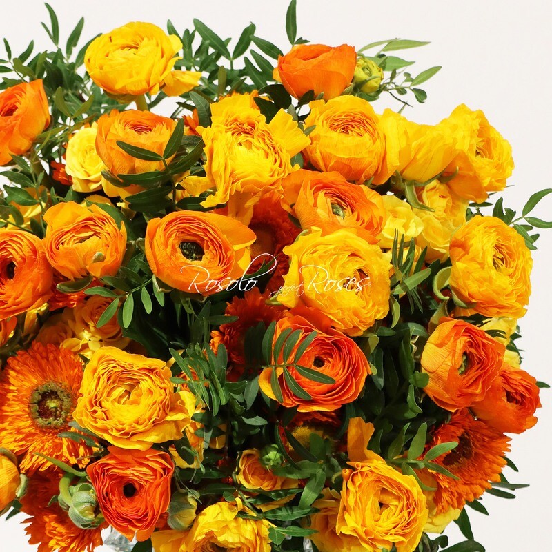 Superbe bouquet de renoncules en jaune et orange