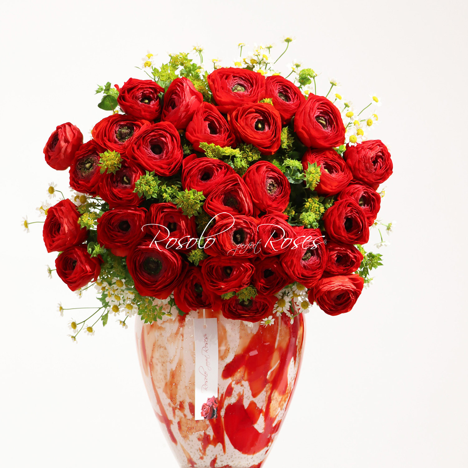 Beau bouquet de renoncules rouges et garniture fine, Taille: moyen grand (photo)