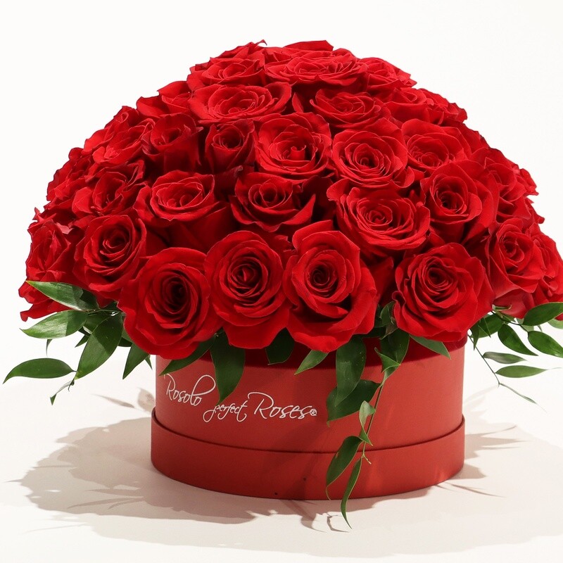 AMOUR: Magnifique boîte de roses rouges.