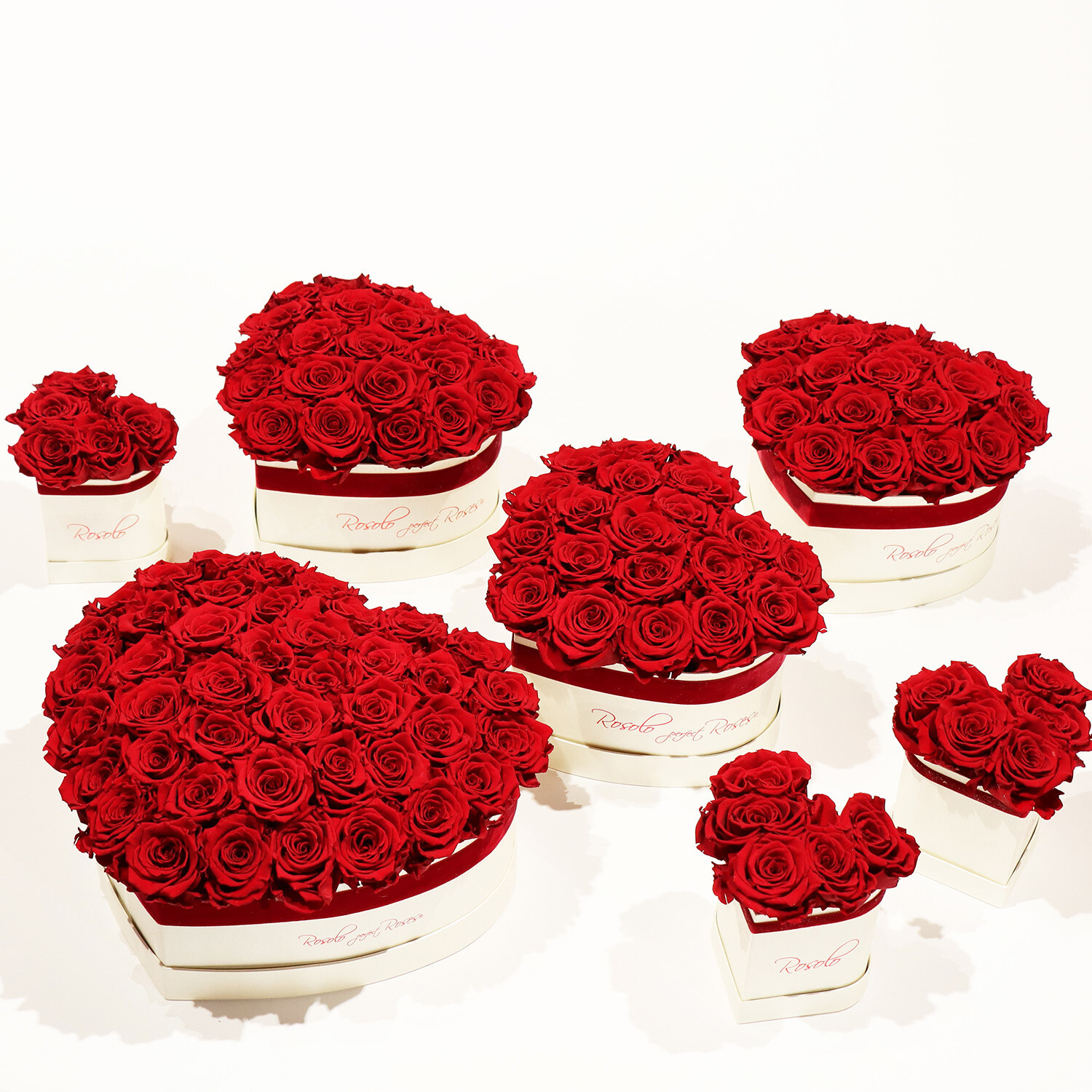 Belle boîte en forme de cœur, roses rouges. 3 tailles différentes