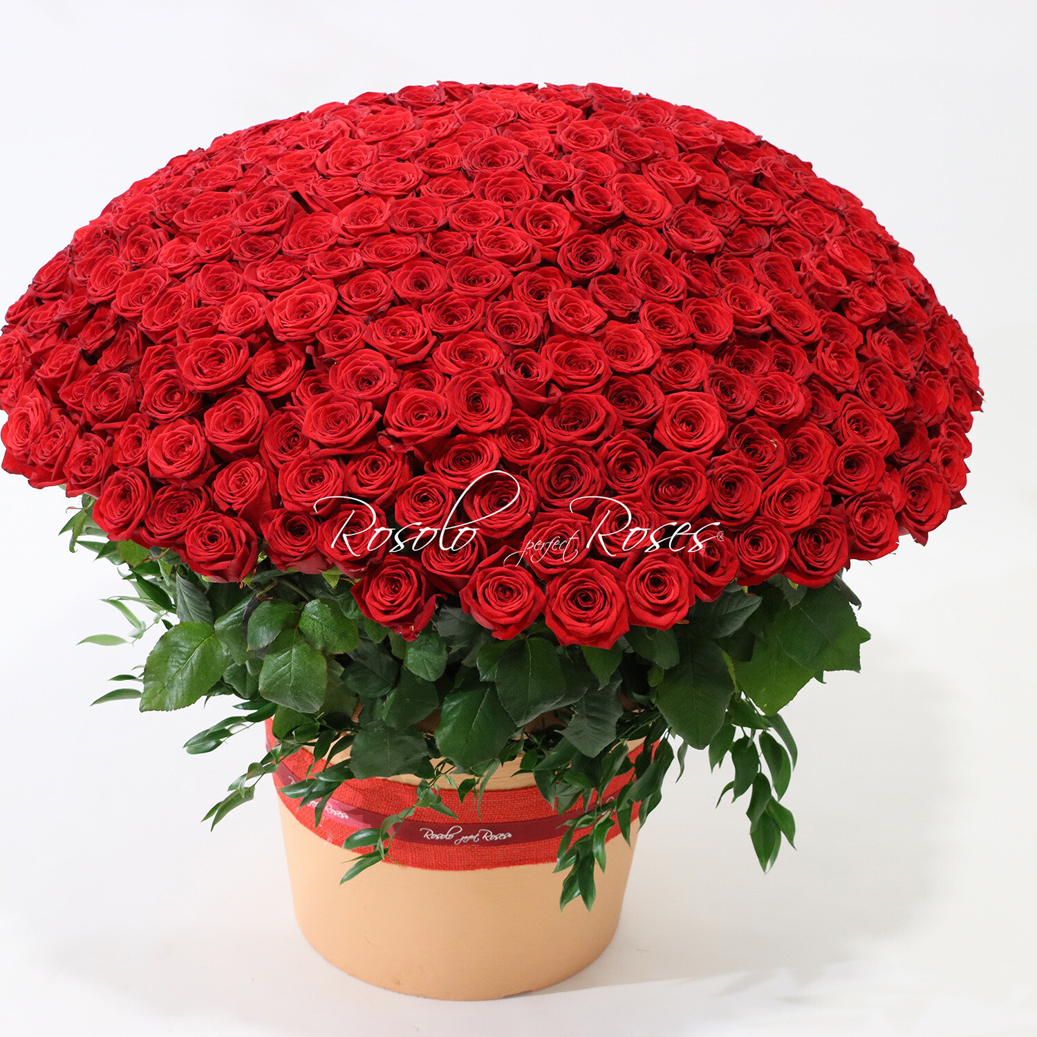 255 - 365 ou 505 grandes roses rouges dans un arrangement