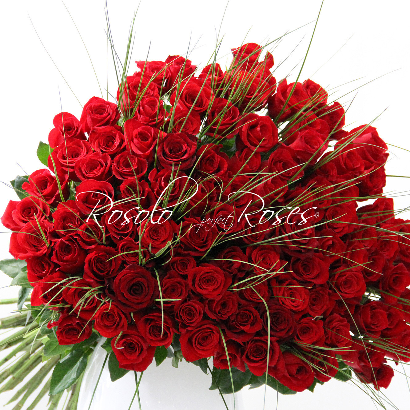 101 grandes roses rouges, inclus vase transparent