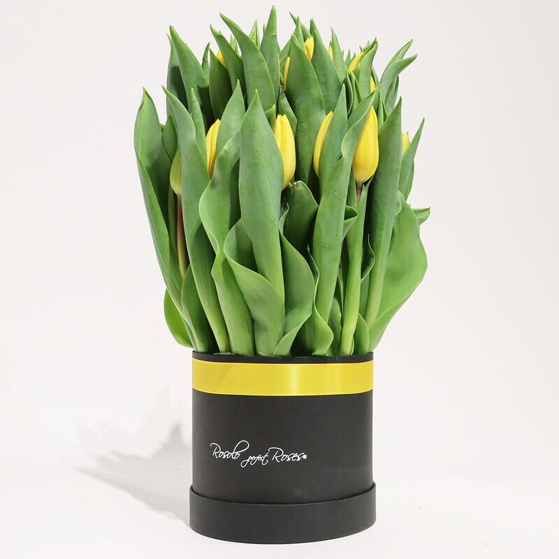 Belle boîte de tulipes jaunes