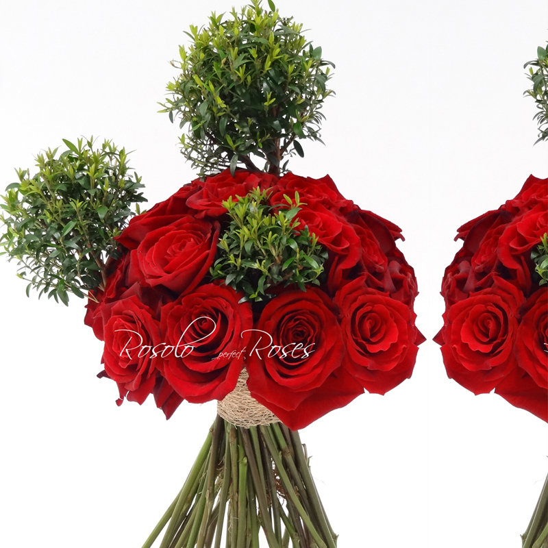 Roses &amp; Myrte: un cocktail d'amour et de désir...