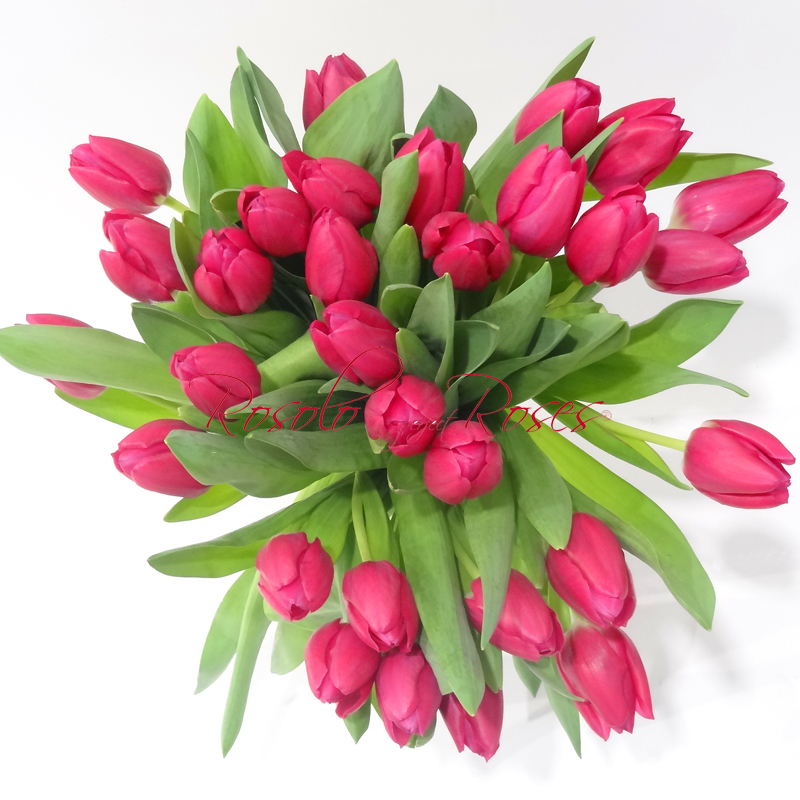 Tulipes par bottes de 10 pièces, couleur à choix, Nombre de bottes (10 tulipes): 1