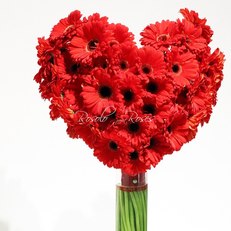 Gerberas rouges, bouquet en forme de cœur