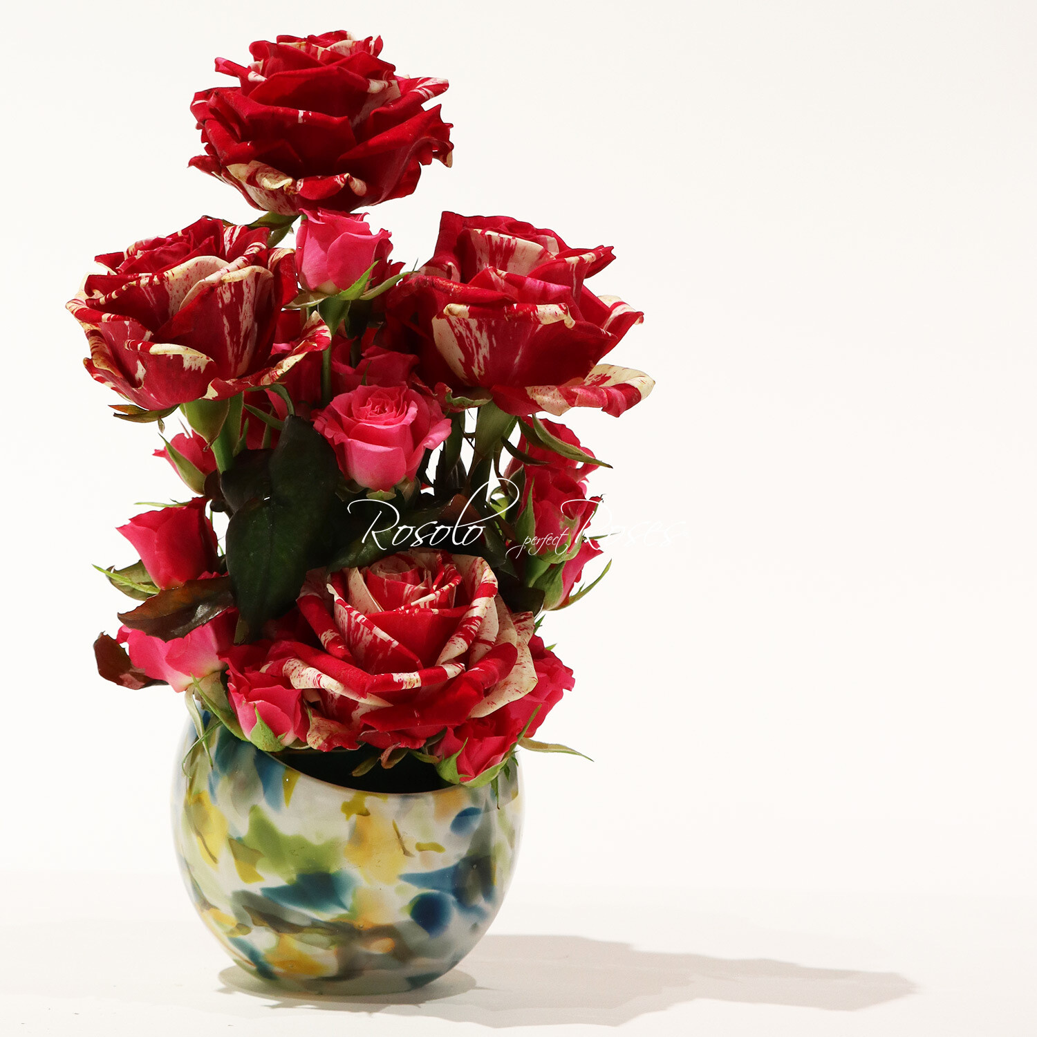 5 roses Arlequin dans un vase joli vase boule