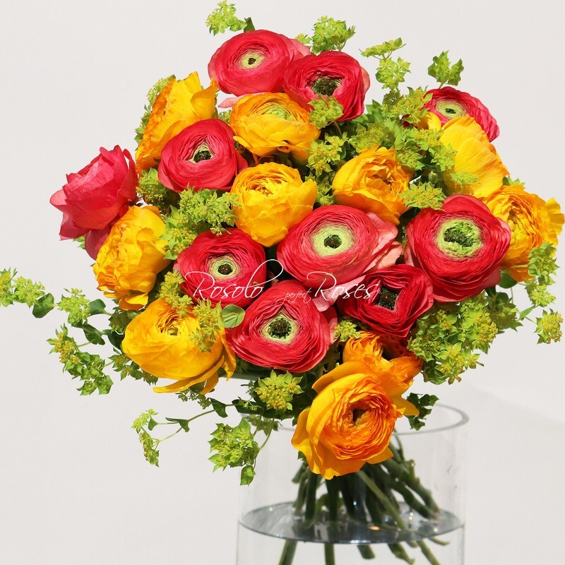 Renoncules en jaune et fuchsia