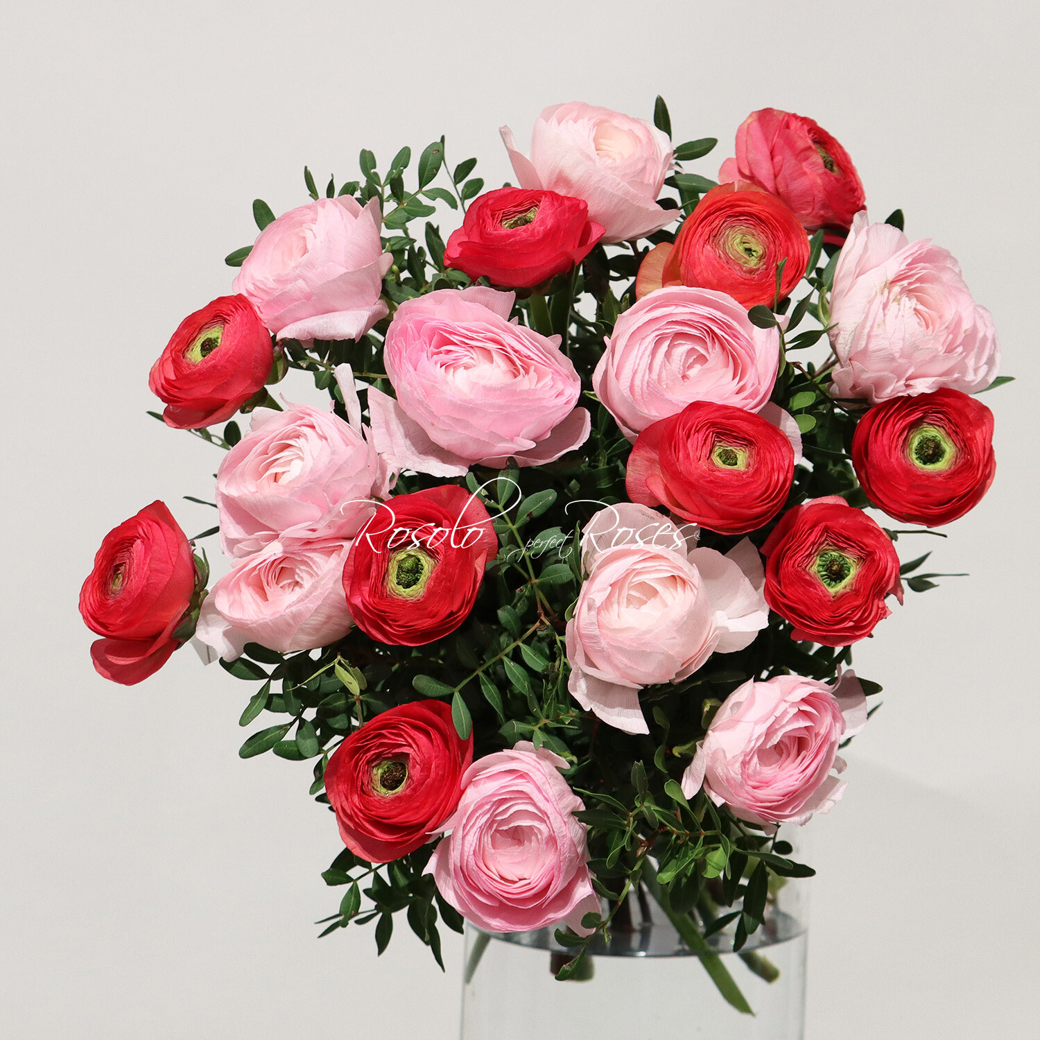 Renoncules en douceur