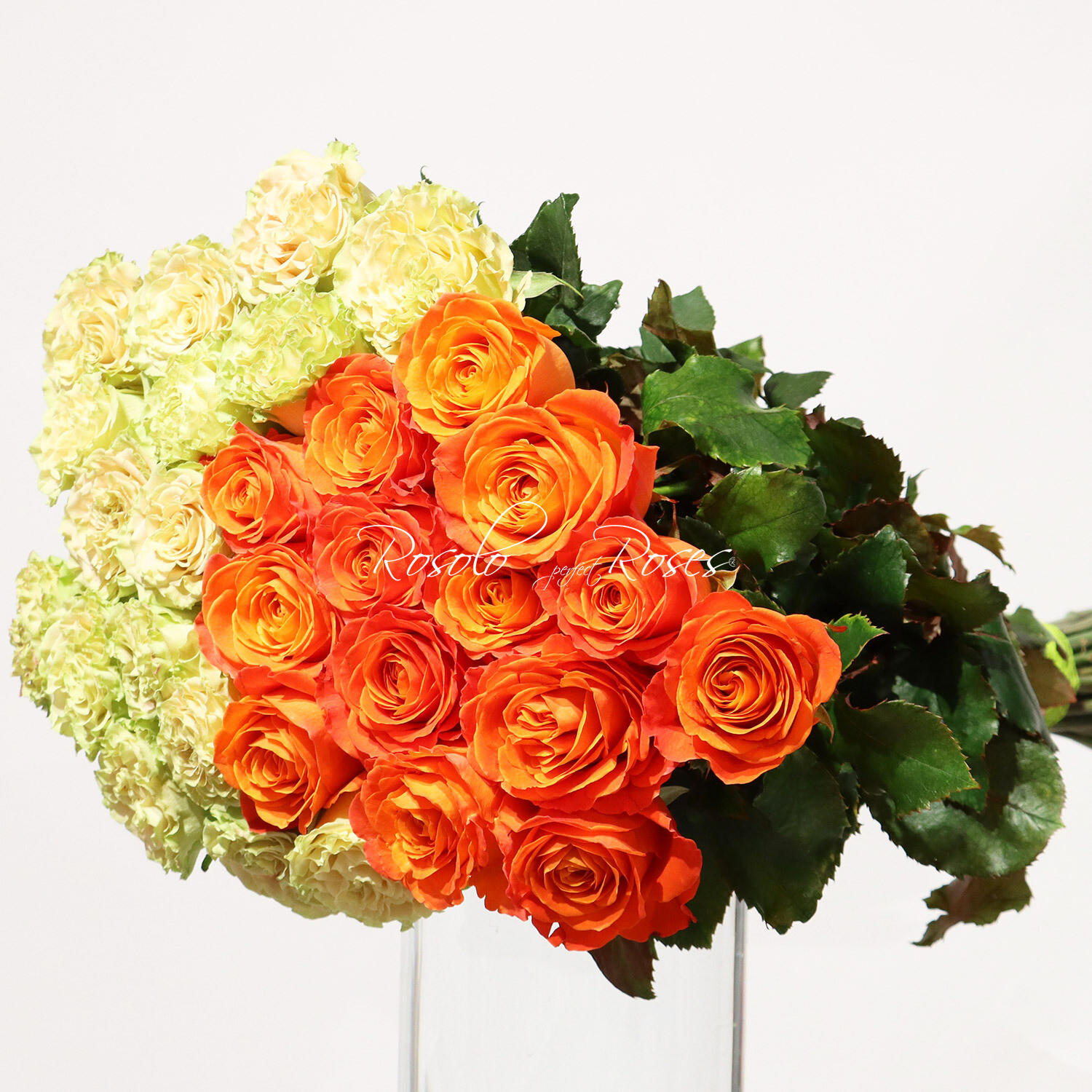 Moitié-moitié, grandes roses en orange et vert